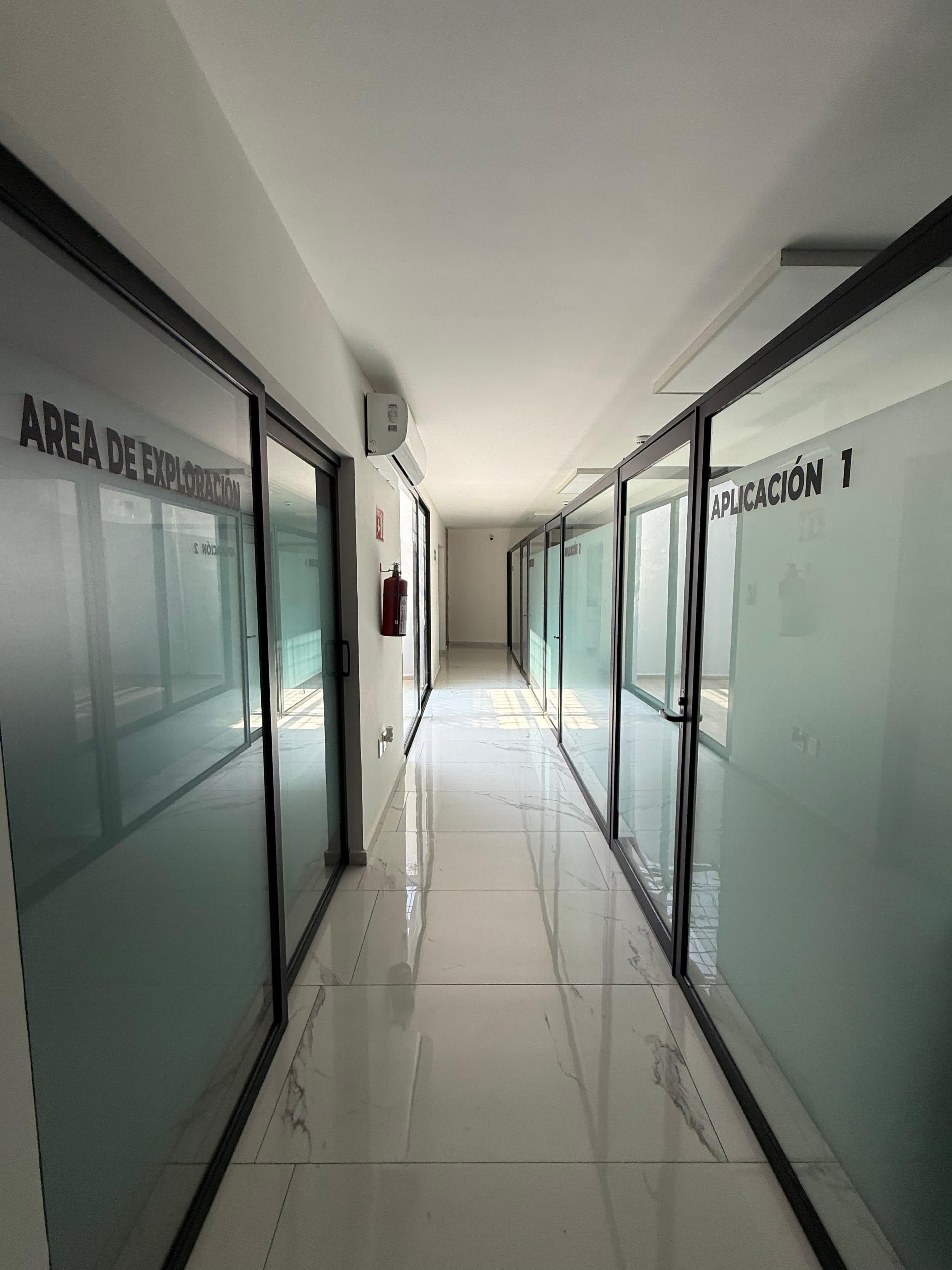 A physiotherapist helping a patient with rehabilitation exercises.