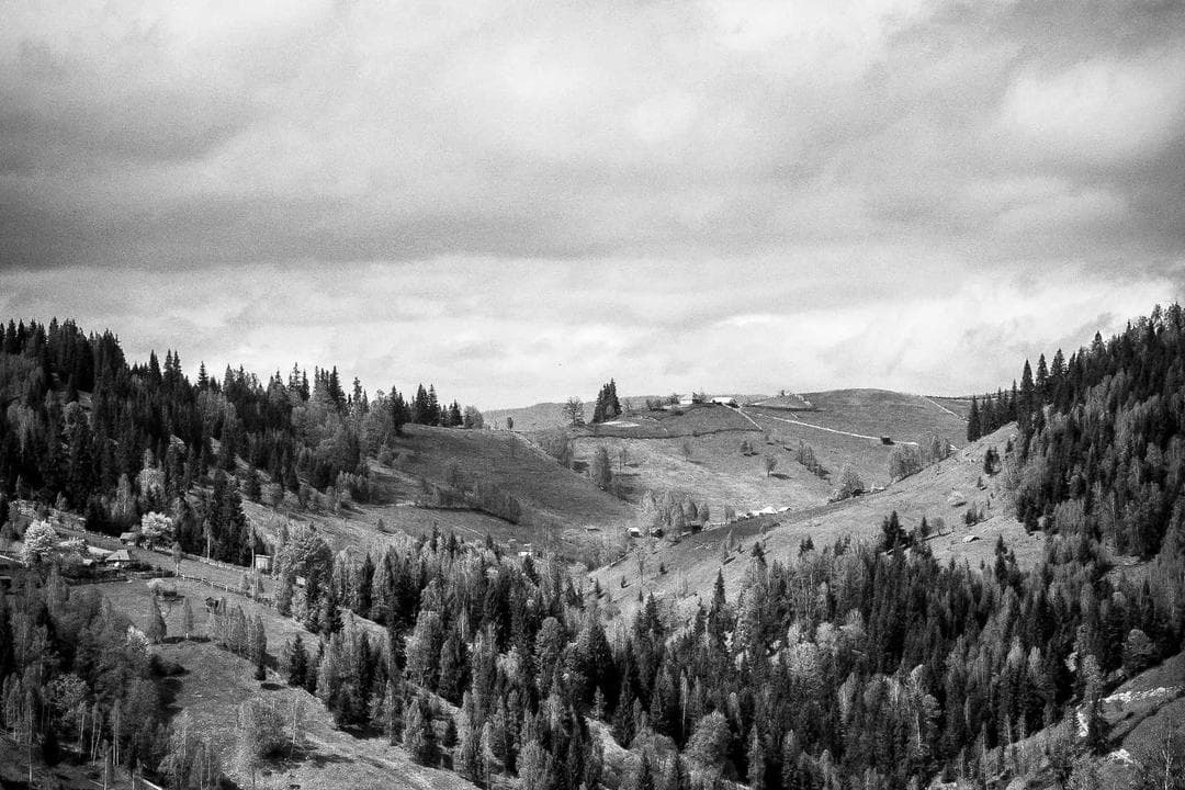 A lab technician handling test tubes in a modern clinical laboratory.